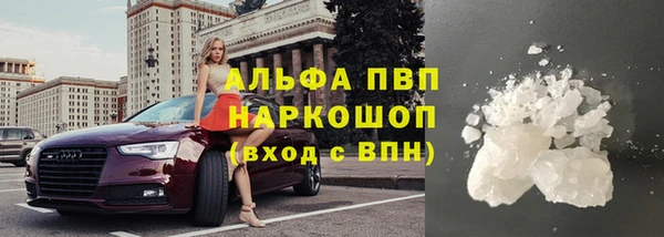сатива Абинск