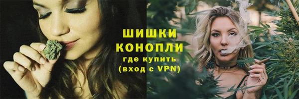 сатива Абинск
