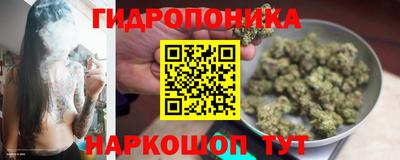 ECSTASY Бийск