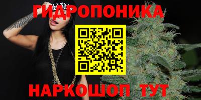 ECSTASY Бийск