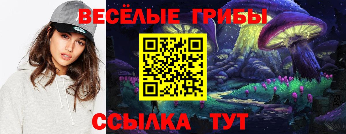 где найти   Псилоцибиновые грибы MAGIC MUSHROOMS  Вход с VPN  Красноперекопск 